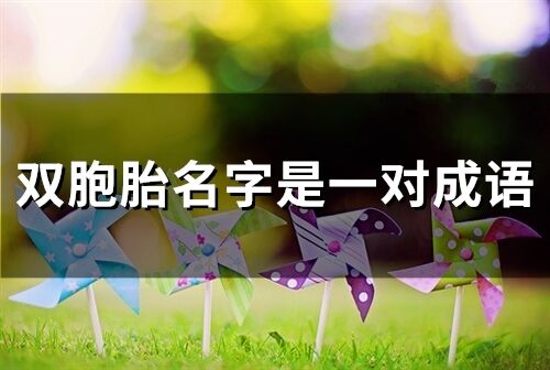 雙胞胎名字是一對成語(69個(gè))