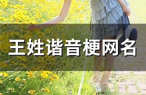 王姓諧音梗網名(34個) 王姓諧音梗網名(34個)