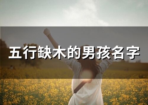 五行缺木的男孩名字(精選34個)