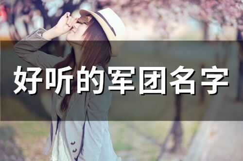 好聽的軍團名字(135個)