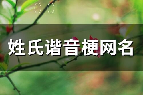 姓氏諧音梗網名(81個)