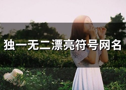 獨一無二漂亮符號網(wǎng)名(86個)