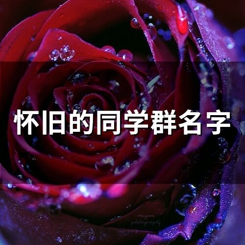 懷舊的同學群名字(198個)