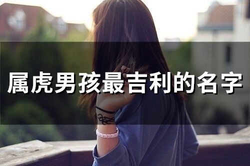 屬虎男孩最吉利的名字 2023屬虎取名字大全集