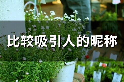 比較吸引人的昵稱 比較有魅力吸引人的昵稱