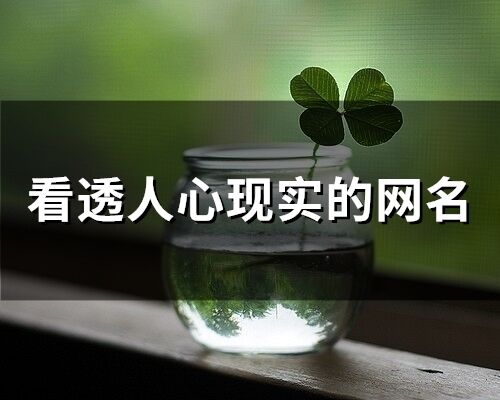 看透人心現實的網名 看清一些人和事的網名