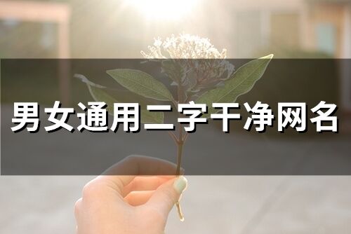 男女通用二字干凈網名