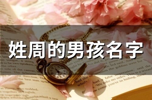 姓周的男孩名字 姓周好聽稀少的名字