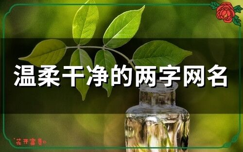 溫柔干凈的兩字網名 簡約昵稱二字