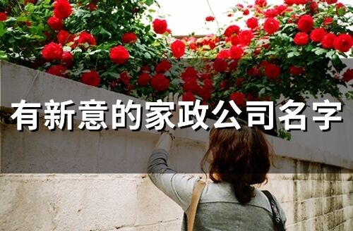 有新意的家政公司名字 注冊家政公司名字大全