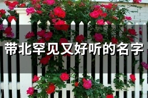 帶北罕見又好聽的名字 北字開頭的好聽的網名