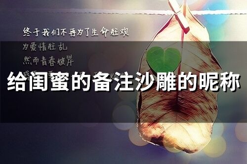 給閨蜜的備注沙雕的昵稱