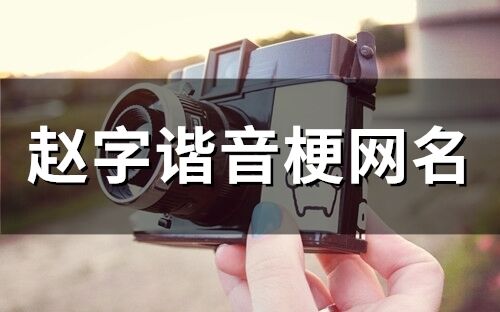 趙字諧音梗網名