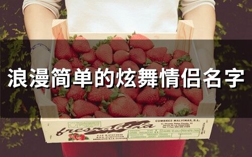 浪漫簡單的炫舞情侶名字 炫舞情侶名字簡潔大方