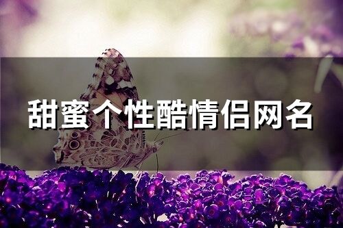 甜蜜個(gè)性酷情侶網(wǎng)名 超級酷的情侶網(wǎng)名