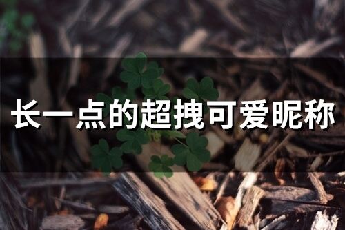 長一點的超拽可愛昵稱