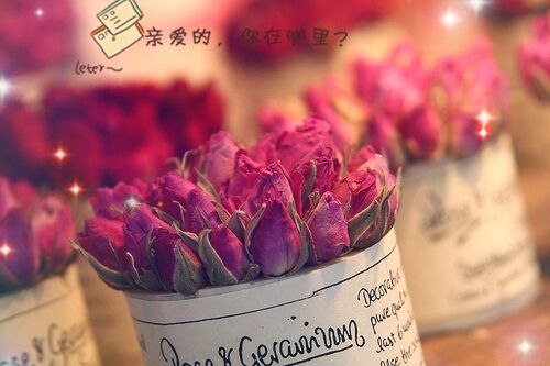 好久不見女生網名(133個)