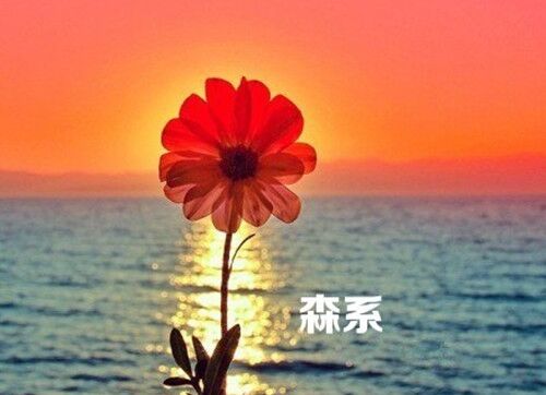 好聽的股票群名字大全(78個)