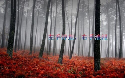 瘋甜霸道網(wǎng)名大全(精選121個)
