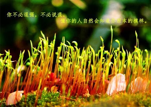 比較有詩意的炫舞名字(精選354個)