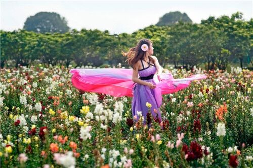 文藝個性古風意境女生網名(優選154個)