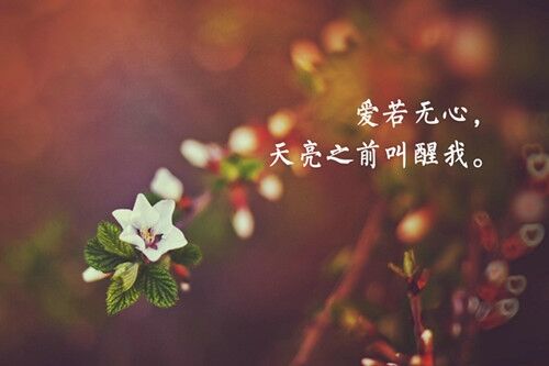 霸氣超拽有個性的游戲網名(優選154個)