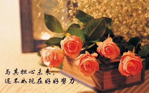 皮一點又蠻可愛的昵稱兩個字(105個)