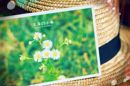 霸道的男生游戲名字(共720個(gè))