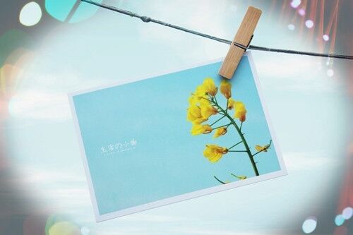 根據名字取快手昵稱(精選62個)
