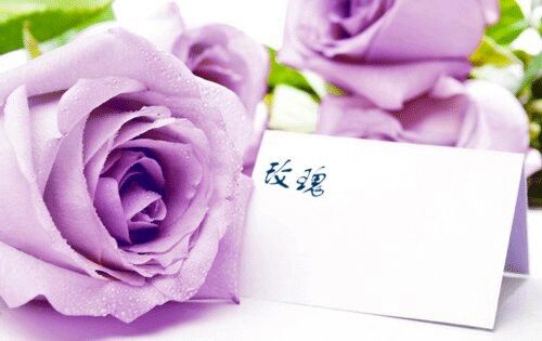 適合男教師的高雅微信名(共279個(gè))