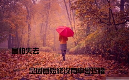 高雅有詩意的微信名字(162個)