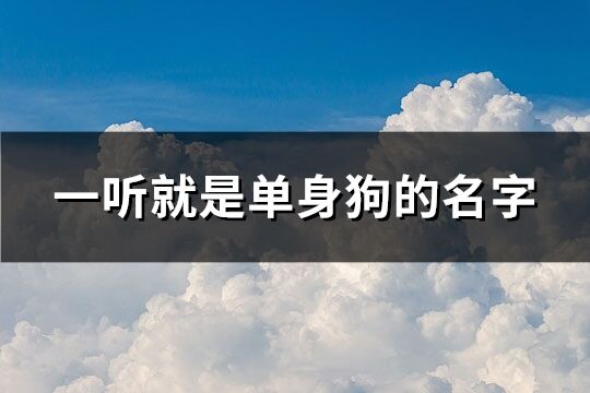 一聽就是單身狗的名字(共429個)