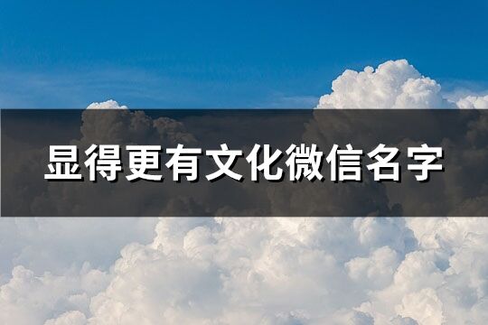 顯得更有文化微信名字(共557個)