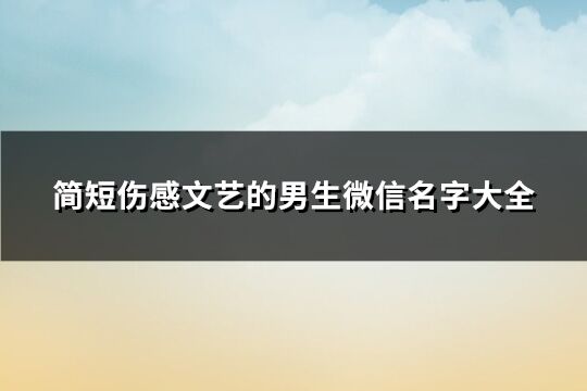 簡(jiǎn)短傷感文藝的男生微信名字大全(304個(gè))