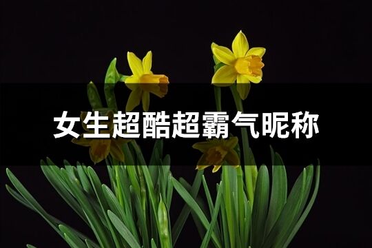 女生超酷超霸氣昵稱(共629個(gè))