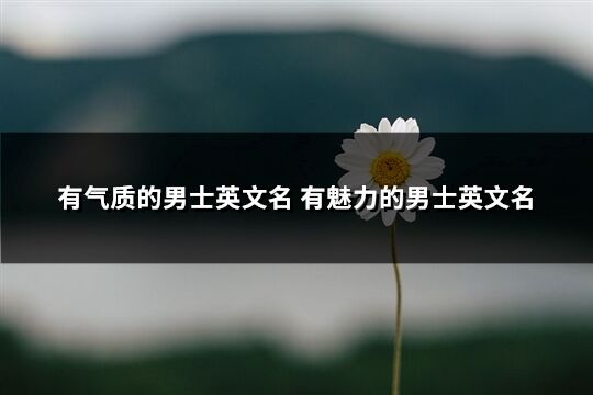 有氣質的男士英文名 有魅力的男士英文名(精選138個)