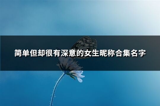 簡單但卻很有深意的女生昵稱合集名字(共214個)