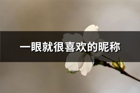 一眼就很喜歡的昵稱(優(yōu)選264個(gè))