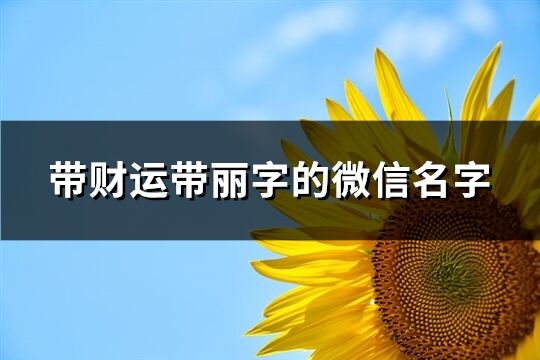 帶財運帶麗字的微信名字(精選81個)