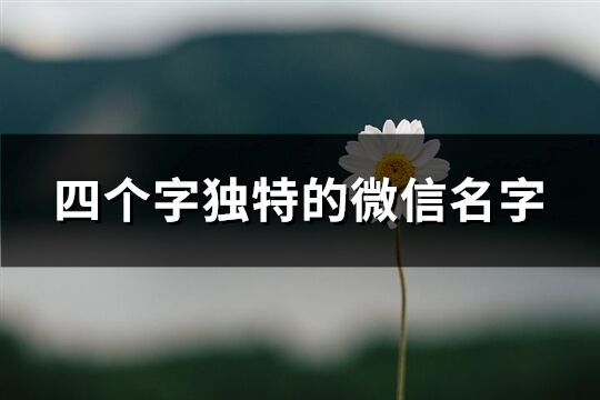 四個字獨特的微信名字(優(yōu)選738個)