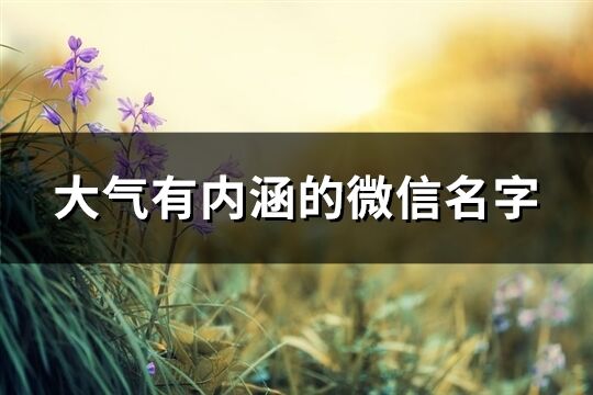 大氣有內涵的微信名字(共595個)