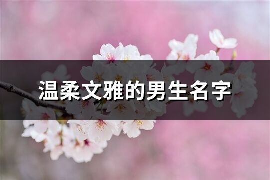 溫柔文雅的男生名字(優選58個)