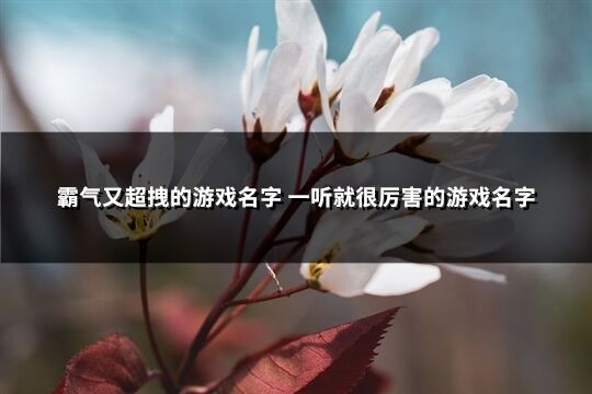 霸氣又超拽的游戲名字 一聽就很厲害的游戲名字(656個)