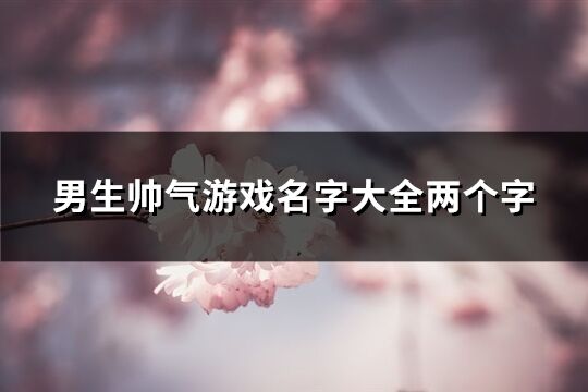 男生帥氣游戲名字大全兩個(gè)字(精選889個(gè))