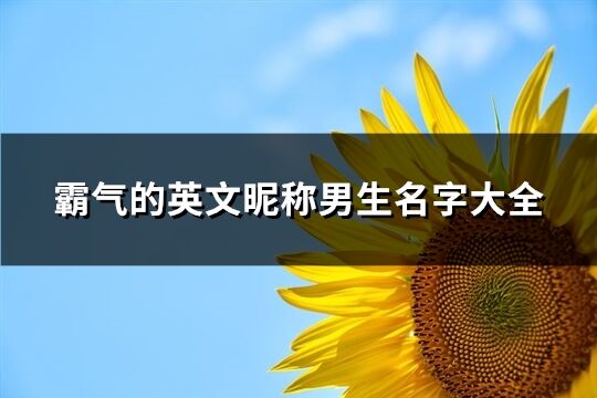 霸氣的英文昵稱男生名字大全(共76個)