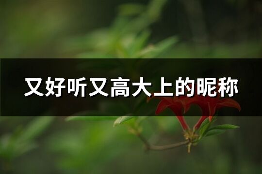 又好聽又高大上的昵稱(精選336個)