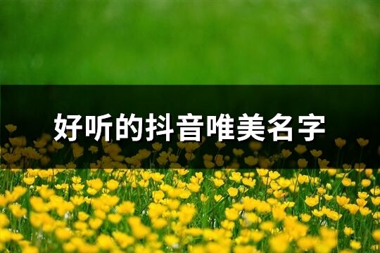 好聽的抖音唯美名字(共196個)