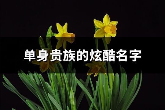 單身貴族的炫酷名字(精選158個)