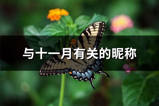 與十一月有關的昵稱(優選91個)