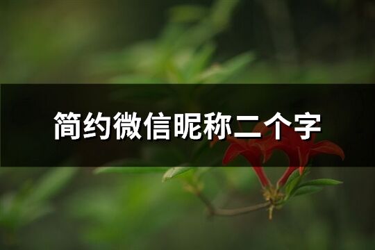 簡約微信昵稱二個字(精選383個)